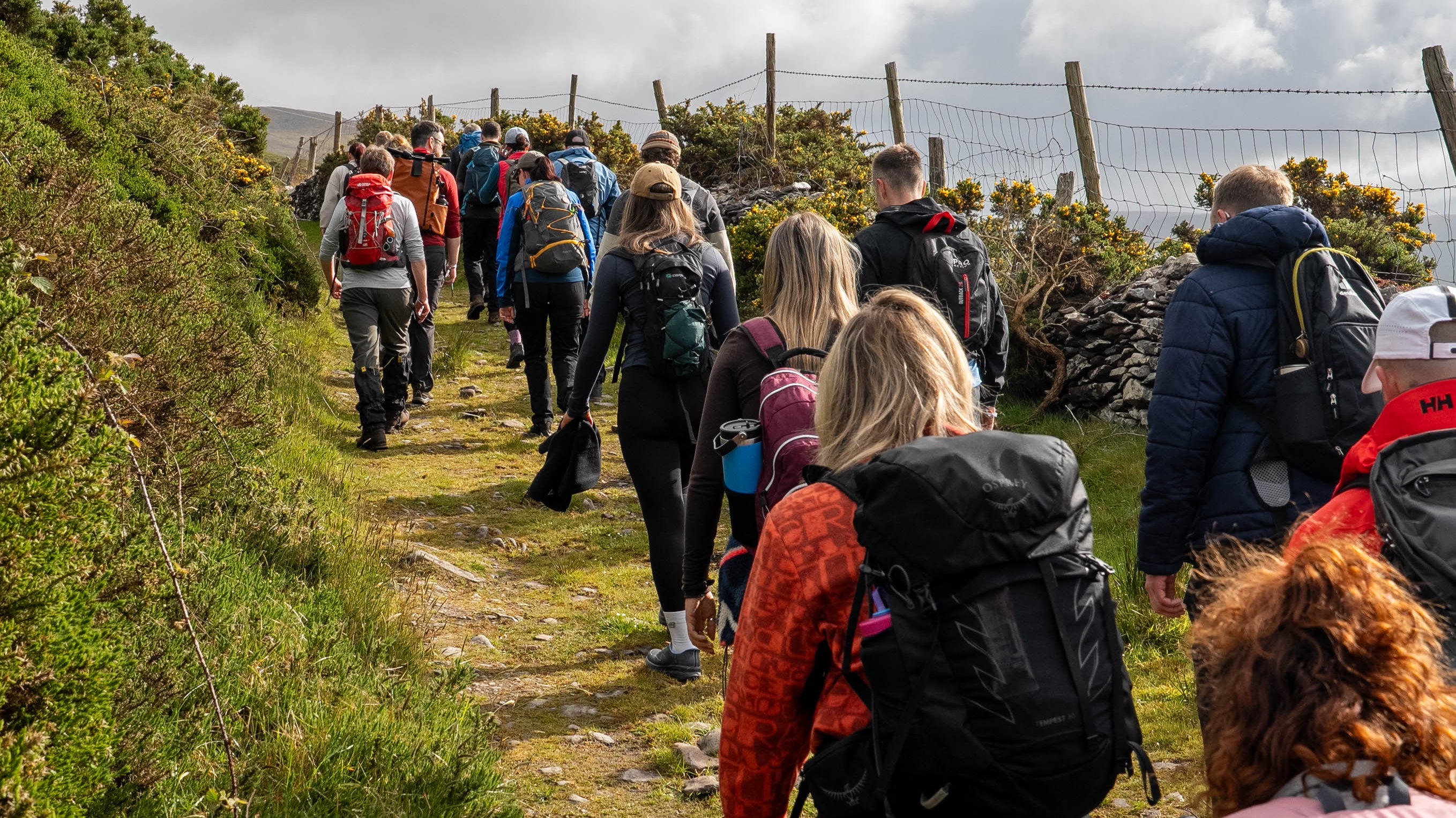 Hiking in a Heatwave: How to Stay Safe on the Trails