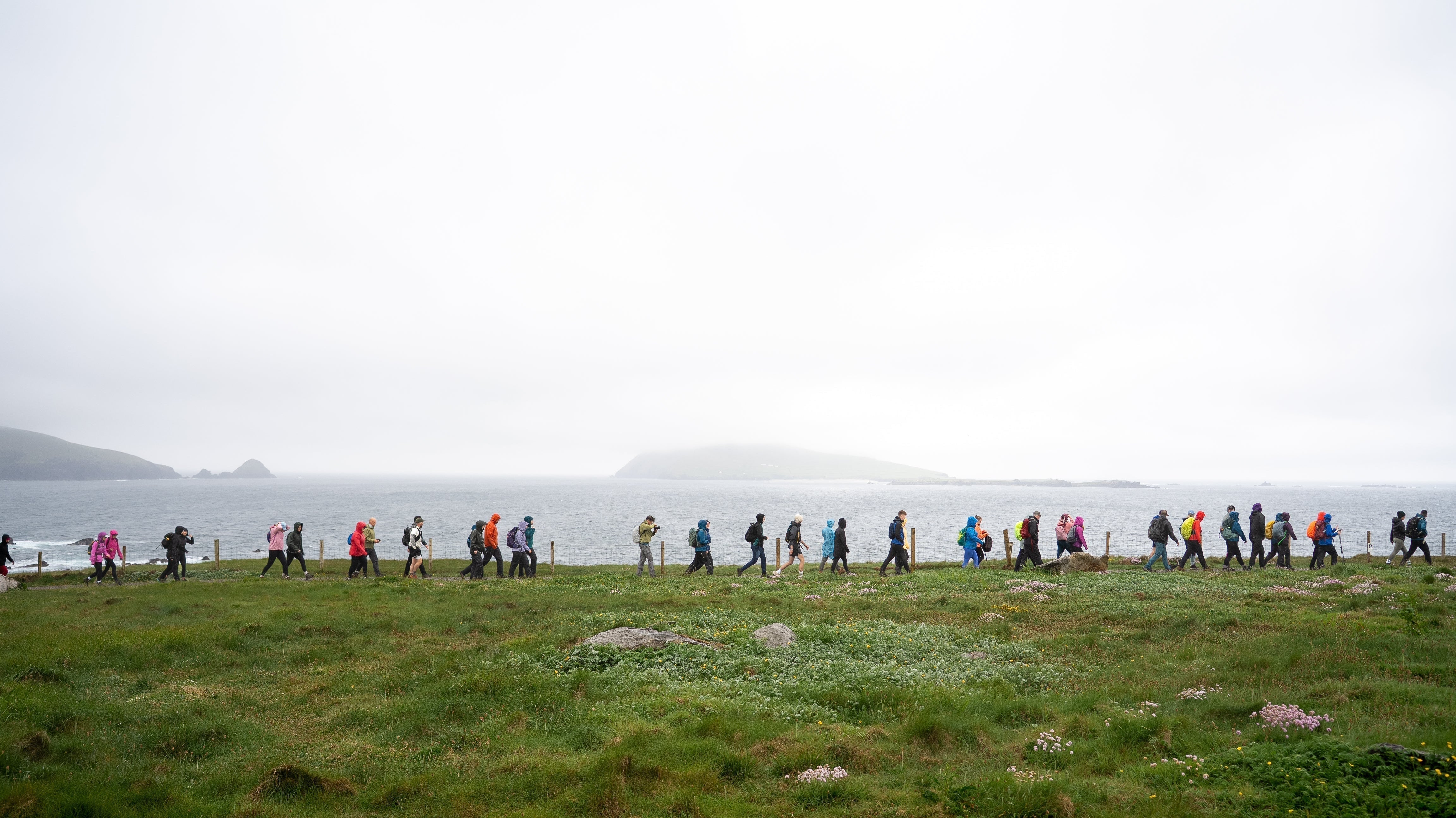 Guide | 8 Stunning Coastal Walks in Ireland to Inspire Your Next Outdoor Adventure