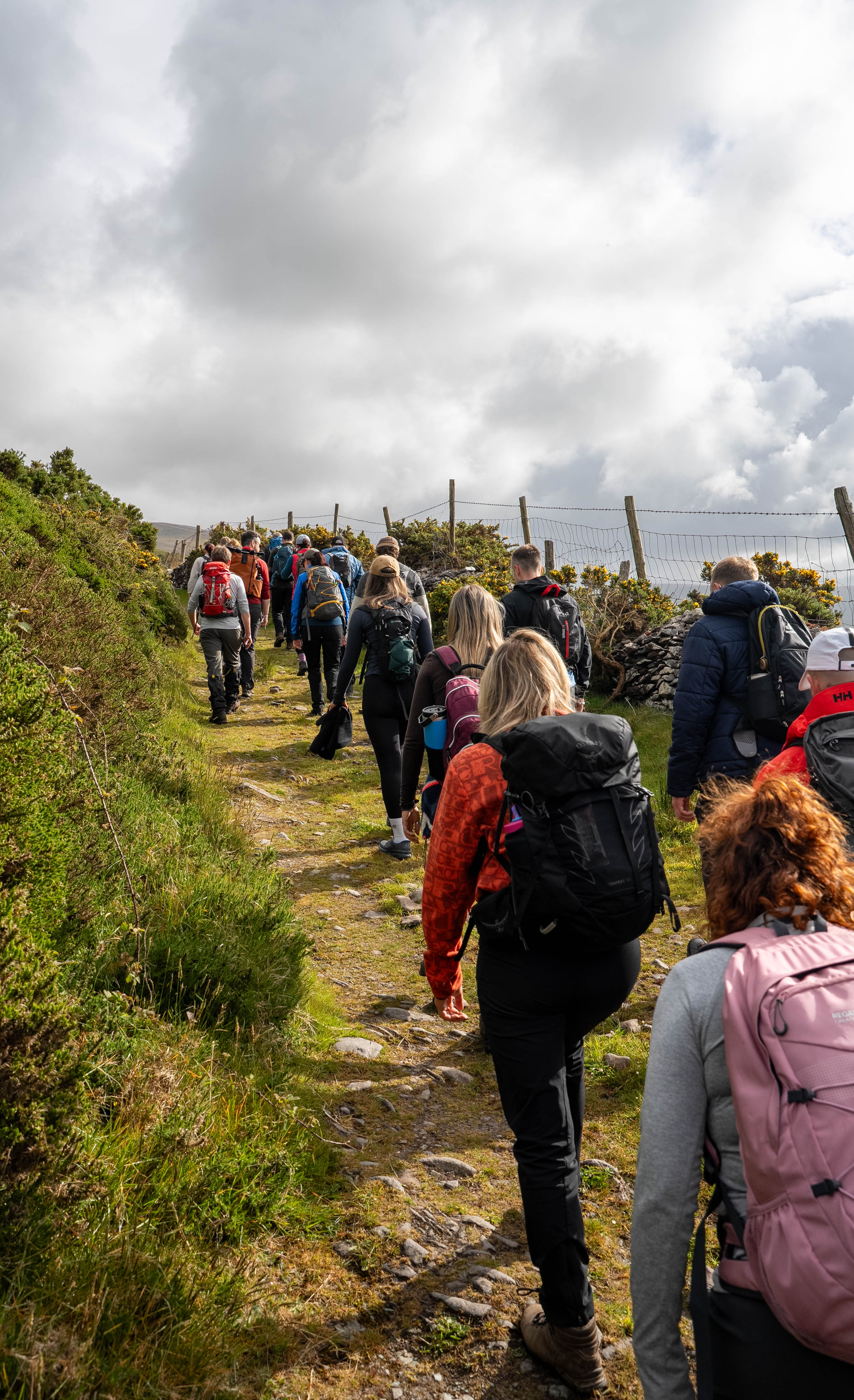 Hiking in a Heatwave: How to Stay Safe on the Trails