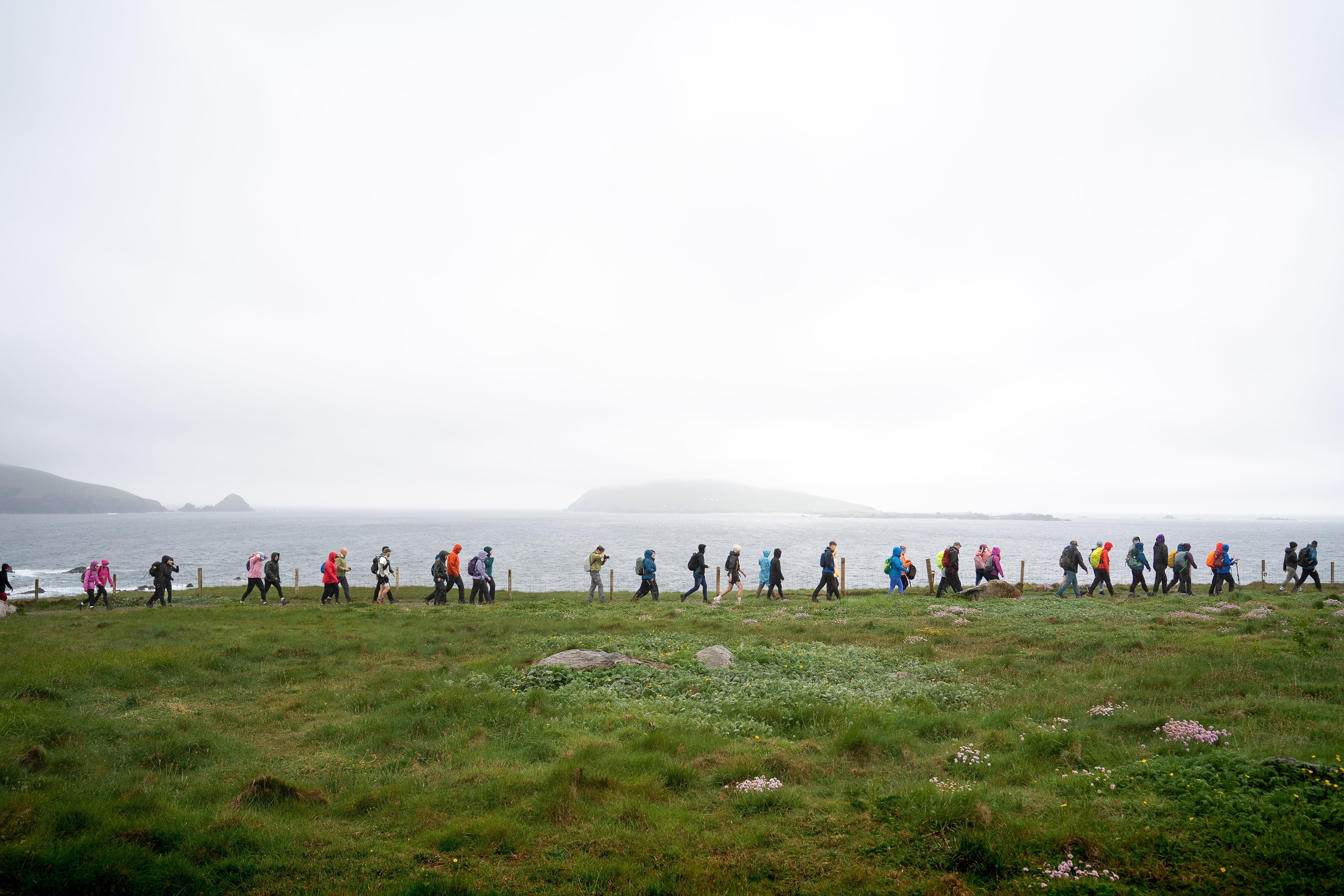 8 Stunning Coastal Walks in Ireland to Inspire Your Next Outdoor Adventure