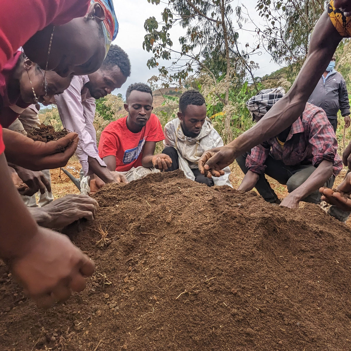 Outwest Partners With Eden Reforestation Projects – Outwest Ireland