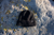 Outwest Thermal Beanie - Black